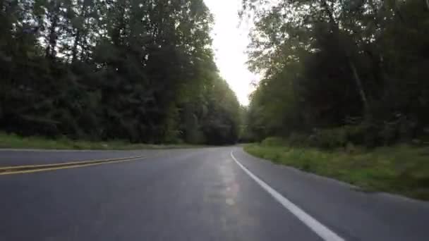 Οδικό επίπεδο οδικώς μέσα από ένα καταπράσινο δάσος - Πλάνα, βίντεο