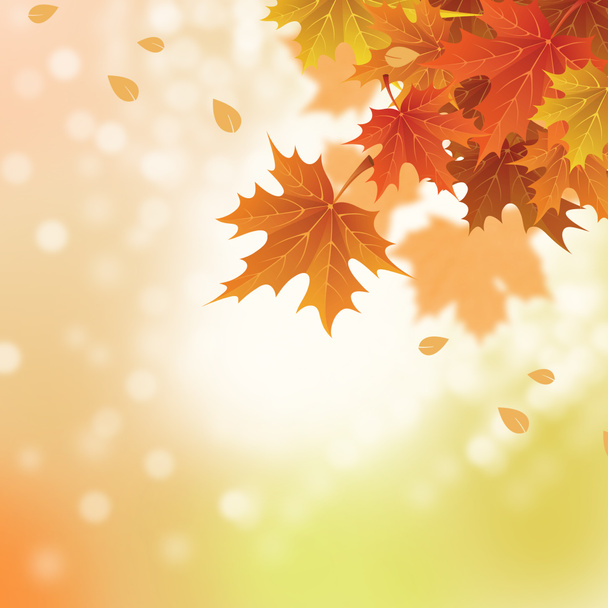 O outono deixa a ilustração da bandeira. Laranja e amarelo folhas caindo
 - Foto, Imagem