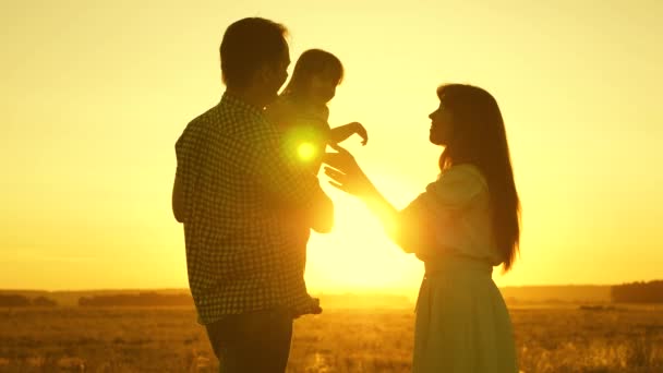 family with a kid in a field in the sunset light. Father, daughter and mother are playing on the field. Mom and dad toss up the baby, the child laughs and rejoices cheerfully. - Footage, Video