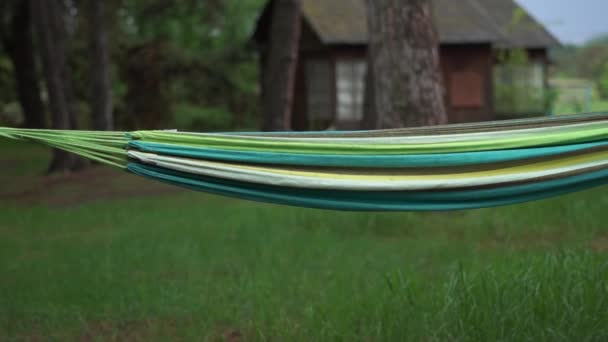 Multicolored cane hammock fixed to two pines in a forest in summer - Footage, Video