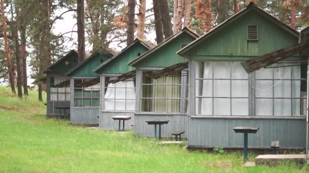 eine Reihe mehrerer Holzhäuser, die im Sommer diagonal in einem Kiefernwald stehen - Filmmaterial, Video