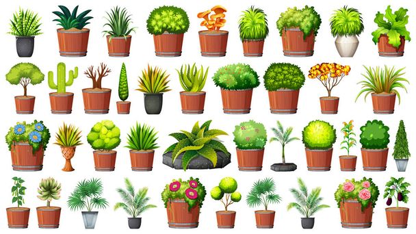 Collection de plantes en pot sur blanc
 - Vecteur, image