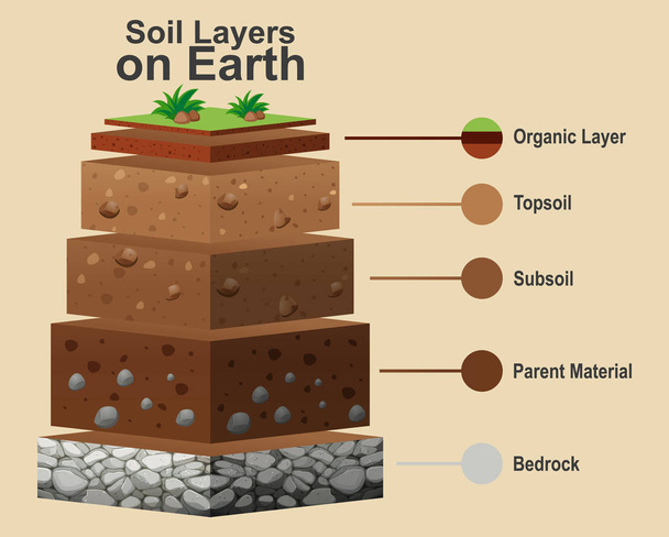 Diagramm mit verschiedenen Bodenschichten - Vektor, Bild