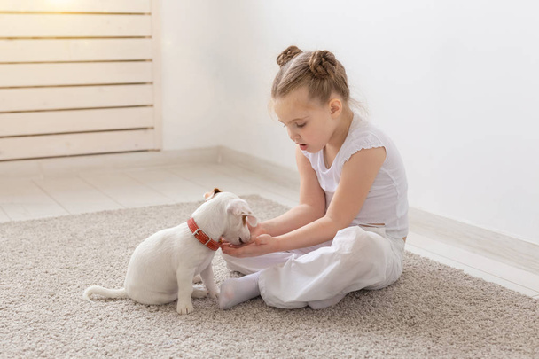 people, children and pets concept - little child girl sitting on the floor with cute puppy Jack Russell Terrier and playing - Фото, зображення
