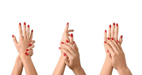mains féminines avec manucure sur fond blanc
 - Photo, image