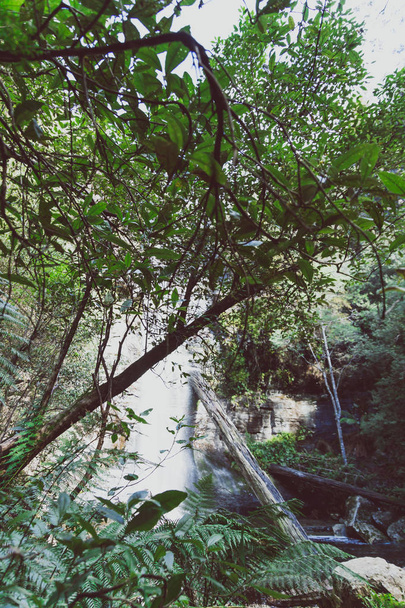 waterfalls and wild Australian bush during a hike in Tasmania wi - Zdjęcie, obraz