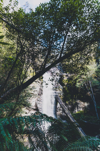 cachoeiras escondidas e arbusto selvagem australiano durante uma caminhada no Tasm
 - Foto, Imagem