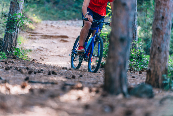 Fit cyclist riding his bike downhill through a forest ( woods )  - Foto, Bild
