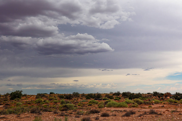 Арізона Дезер перед мусонним штормом - Фото, зображення