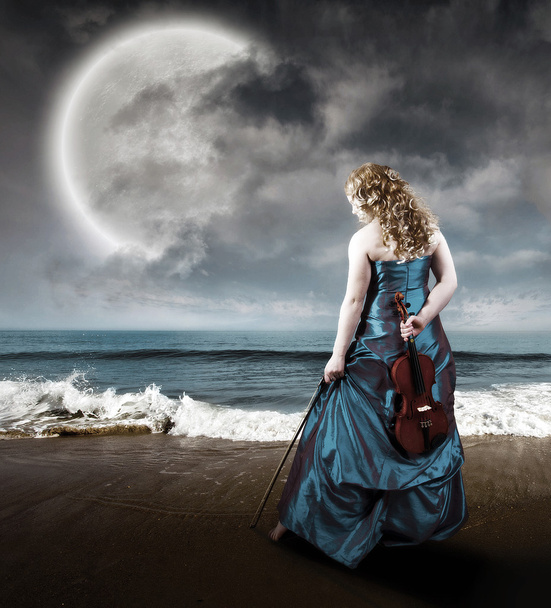 Violin at the beach - Photo, Image