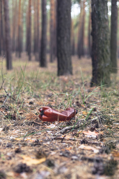 Botella de plástico marrón en el suelo en un bosque de pinos
.  - Foto, imagen