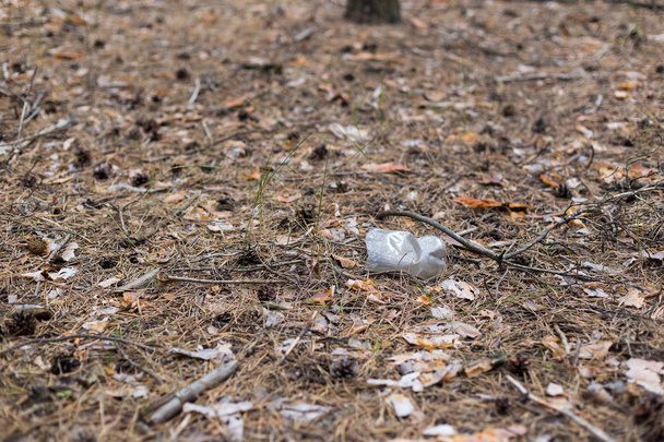 weiße Plastikflasche auf dem Boden in einem Kiefernwald. - Foto, Bild