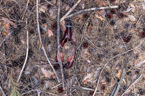 Botella de plástico marrón en el suelo en un bosque de pinos
.  - Foto, Imagen