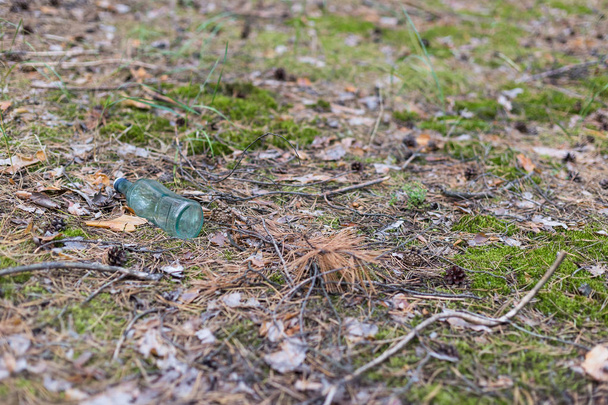 Γυάλινο μπουκάλι στο έδαφος σε ένα πευκοδάσος. - Φωτογραφία, εικόνα
