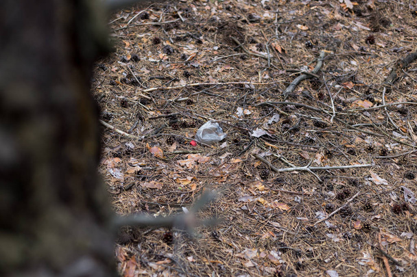 Garrafa de plástico branco no chão em uma floresta de pinheiros
. - Foto, Imagem
