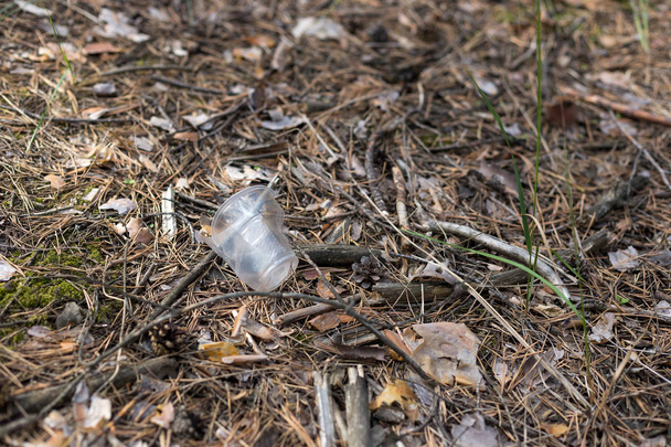 Пластикова чашка на землі в сосновому лісі
 - Фото, зображення