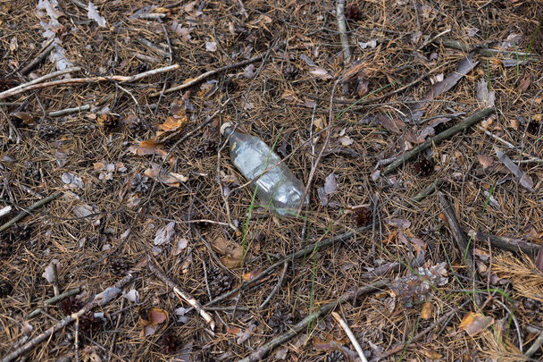 Garrafa de plástico branco no chão em uma floresta de pinheiros
. - Foto, Imagem