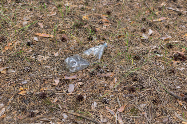 Biała plastikowa butelka na ziemi w sosnowym lesie. - Zdjęcie, obraz