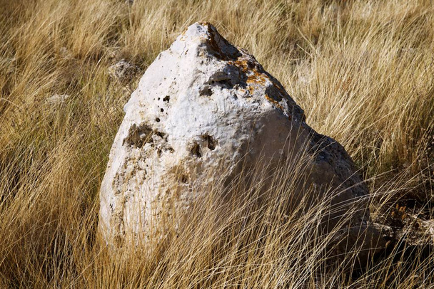 Piedra grande y solitario
 - Foto, Imagen