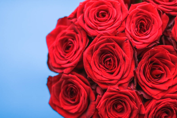 Bouquet di lusso di rose rosse su sfondo blu, fiori come un alcool
 - Foto, immagini