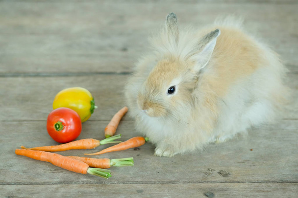Lindo conejo marrón con verduras sobre fondo de madera
.  - Foto, Imagen