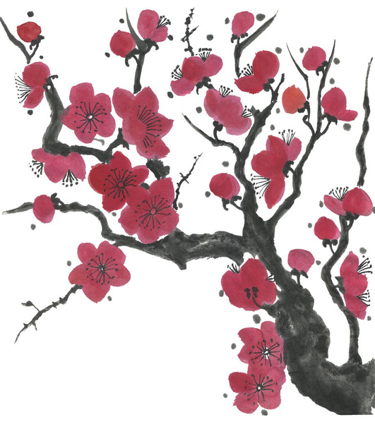 Una rama de un sakura floreciente. Flores estilizadas rosas y rojas de ciruela mei y cereza silvestre. Acuarela e ilustración de tinta de árbol en estilo sumi-e, go-hua, u-sin. Pintura tradicional oriental
. - Foto, Imagen