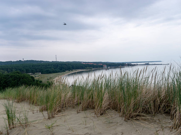 patio de madera, vista de dunas de arena, plantas pobres, saliva curónica, Nida, Lituania
 - Foto, Imagen