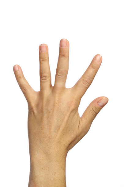 Рука с пальцами плоские друг от друга изолированы на белом фоне
 - Фото, изображение