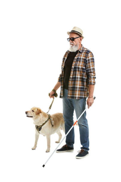 Vak érett férfi vakvezető kutyával, fehér alapon - Fotó, kép