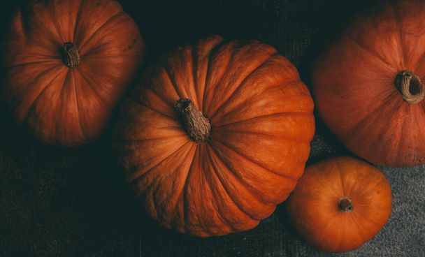 Photo from above of four orange pumpkins on black background, halloween celebration - Foto, Imagen