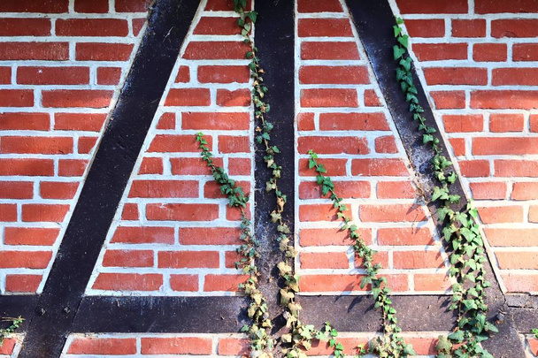 Detailed view of weathered half-timbering brick wall textures found in northern germany - Foto, Imagen