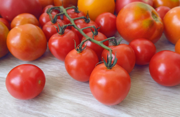 joukko monia erilaisia tomaatteja. Kirsikka, pinkki, keltainen, punainen
 - Valokuva, kuva