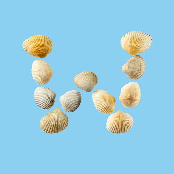 Letter "w" composed from seashells, isolated on gentle blue background - Photo, Image
