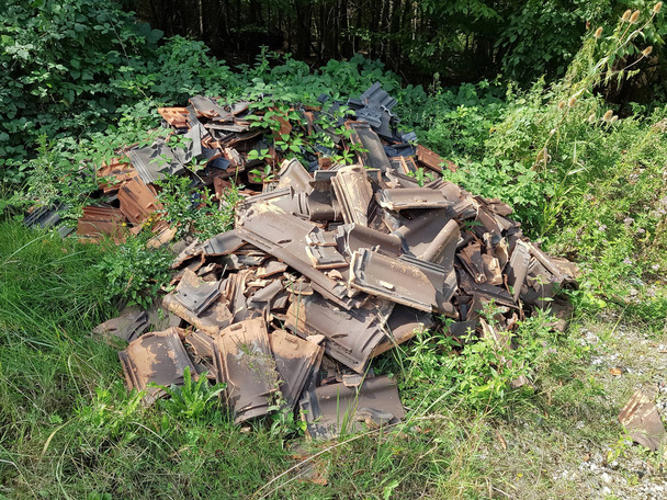 Odpadkový koš v lese, nelegálně vyřazen - Fotografie, Obrázek