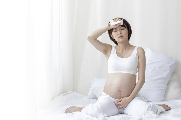 young beautiful Asian pregnant woman - Photo, Image