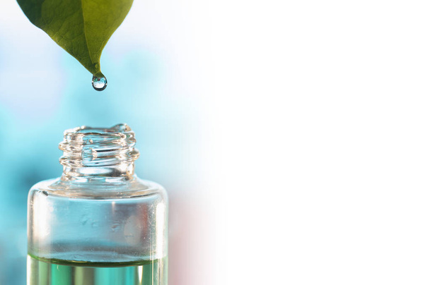 botella de perfume y hoja verde con gota - Foto, Imagen