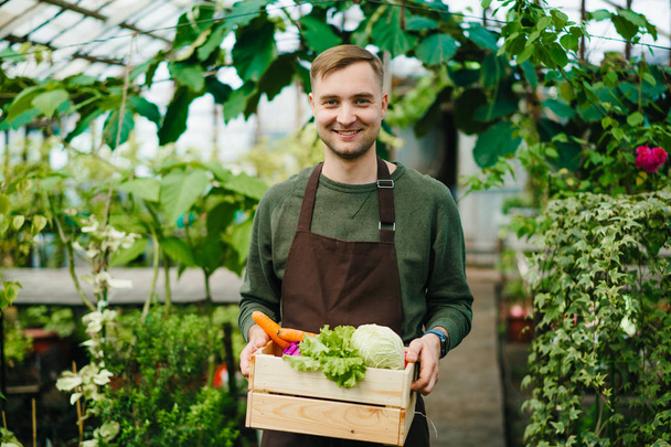 Attractive farmer man standing in greenhouse holding box of organic food - Foto, Imagem