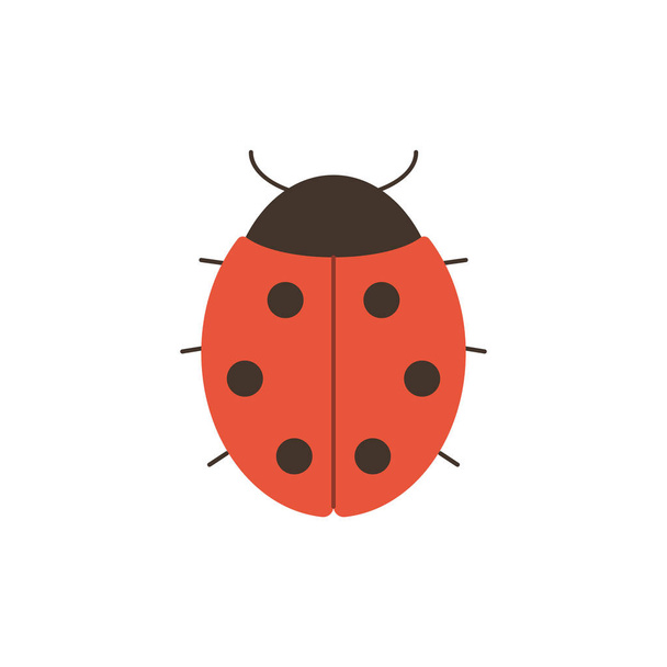 Cute ladybug in flat style isolated on white background. - Vector, Image