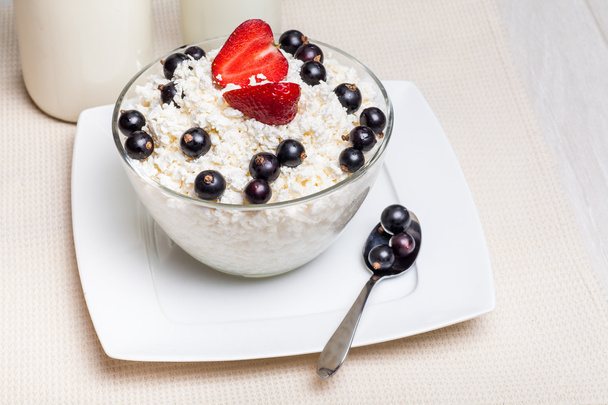 Cottage cheese - Photo, Image