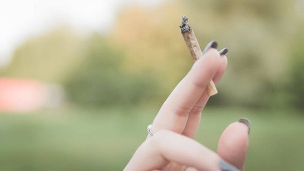 Nahaufnahme von weiblichen Händen, die Marihuana-Joint in der Hand halten, Zigarette rauchen - Foto, Bild