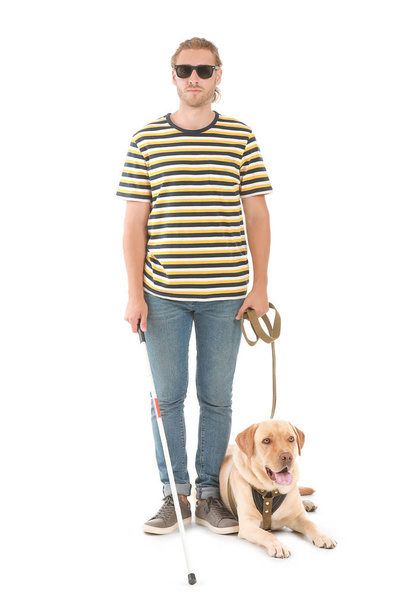 Blind young man with guide dog on white background - Photo, Image