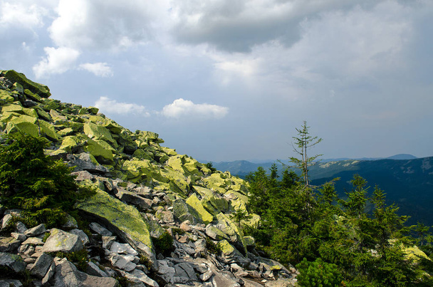 A kő placers hegység gerincén borított zöld zuzmók és fenyő erdővel a Kárpát-hegység lejtőin a nyári nap - Fotó, kép