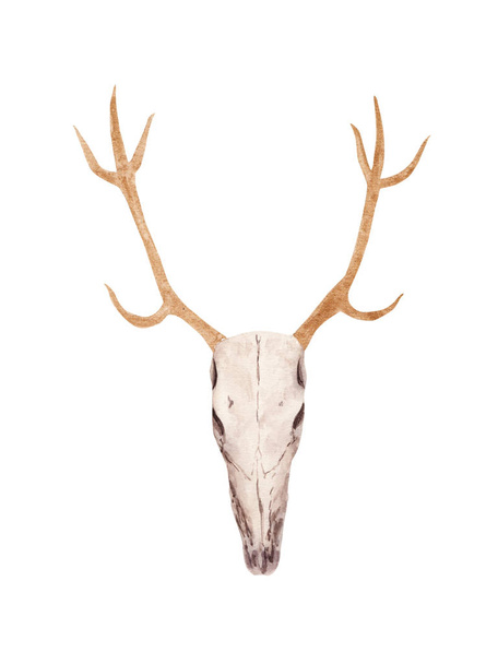 Ręcznie rysowane akwarela jelenia czaszka ze złotymi rogami. Halloween Boho styl ilustracja. - Zdjęcie, obraz