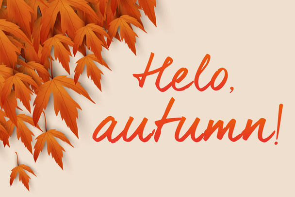 Background from autumn leaves and with the words "Hello, Autumn!" - Vector, Image