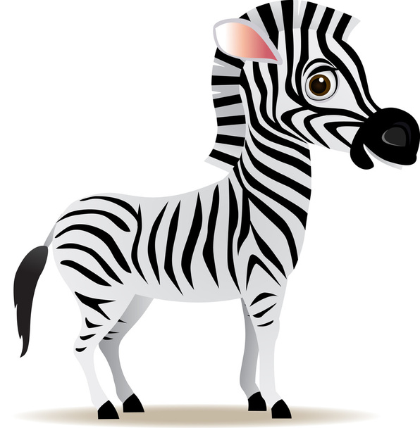Zebra Free Stock Vectors