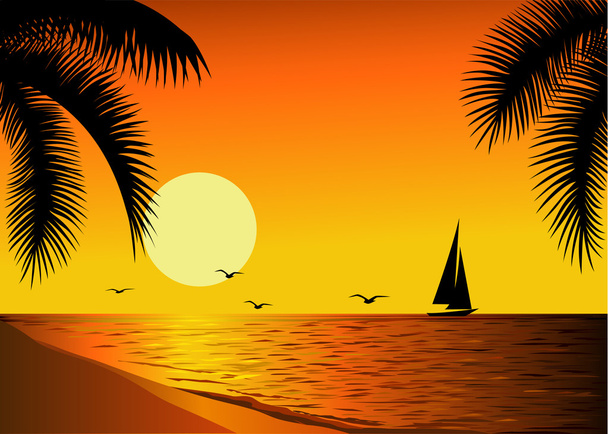 熱帯のビーチの夕日 - ベクター画像