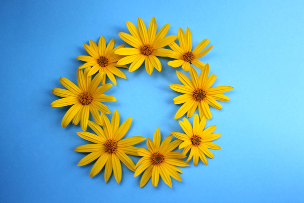 yellow daisy laid out on a circle on a blue background - Fotografie, Obrázek