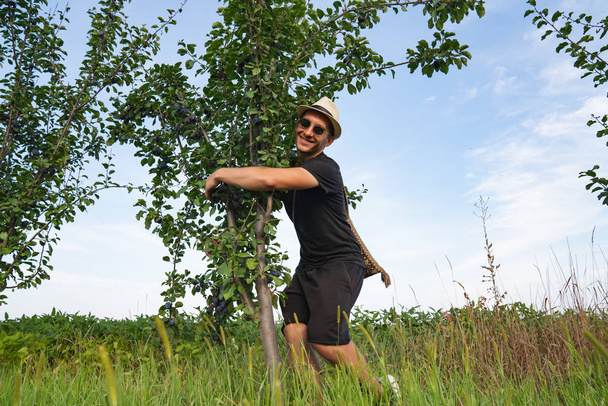 Glad smiling man farmer in hat and sunglasses hugs a plums tree, happy to have a good harvest - Photo, Image