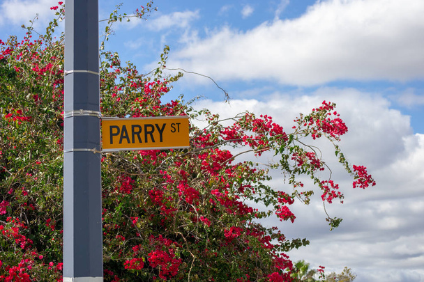 Parry segnale stradale di fronte all'albero rosso dei fiori
 - Foto, immagini