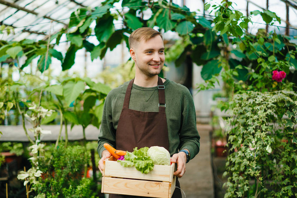 Handsome young farmer carrying box of fresh vegetables in greenhouse - Foto, Bild